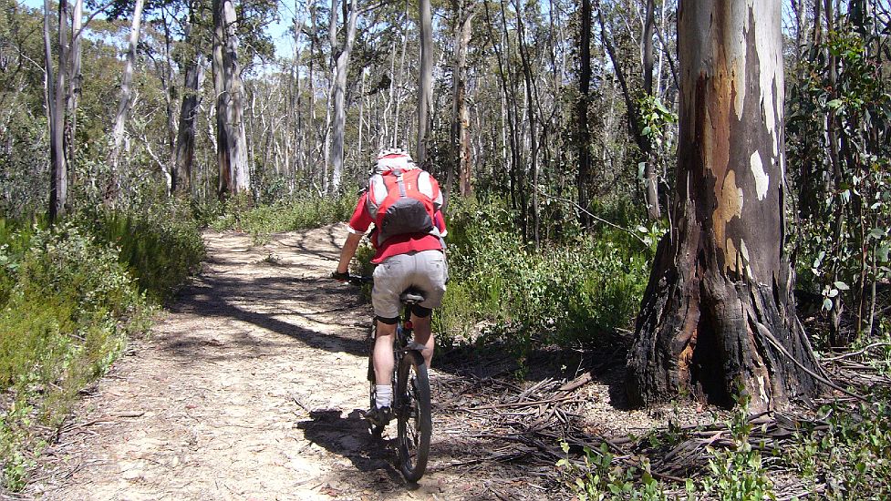 18-Ryan enjoys the climb out of Cowombat Flat.JPG